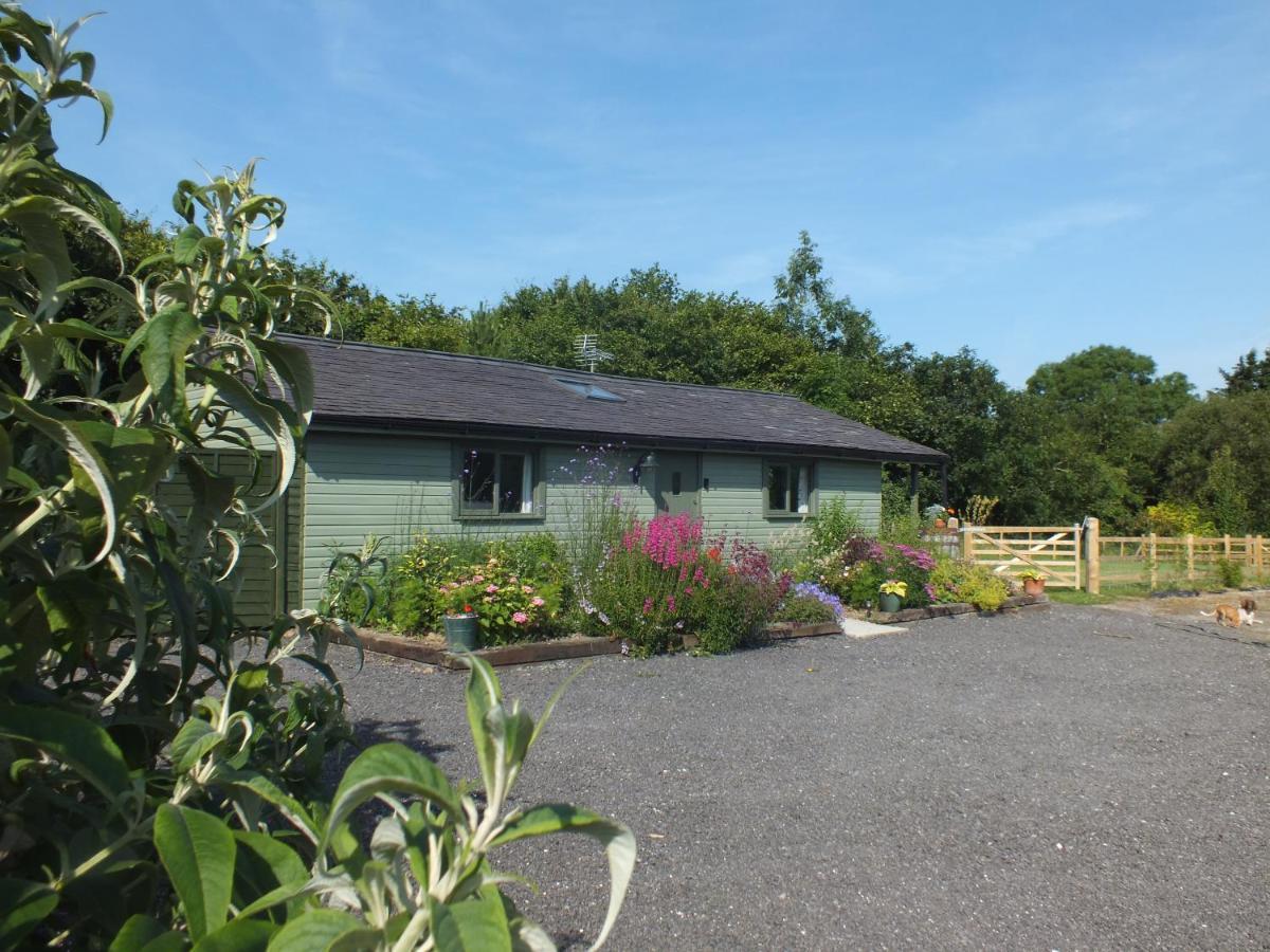 The Potting Shed And The Garden Shed Self Catering Villa Carmarthen Exterior photo